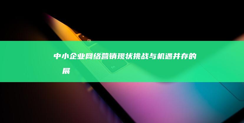 中小企业网络营销：现状、挑战与机遇并存的发展路径